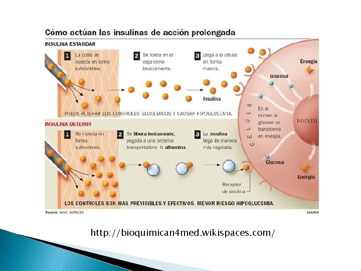 http: //bioquimican 4 med. wikispaces. com/ 