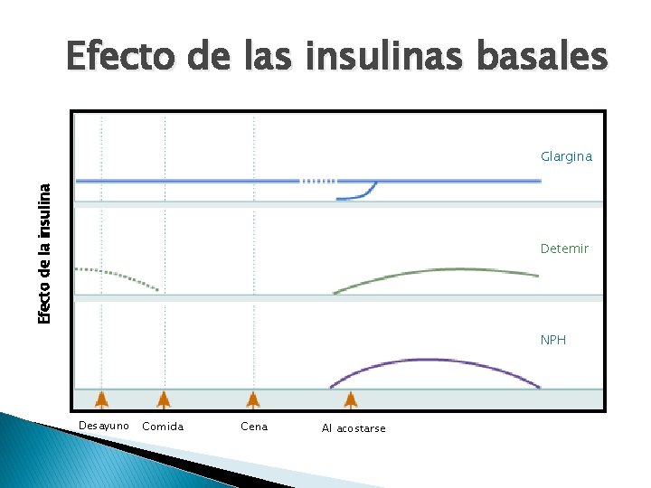 Efecto de las insulinas basales Efecto de la insulina Glargina Detemir NPH Desayuno Comida