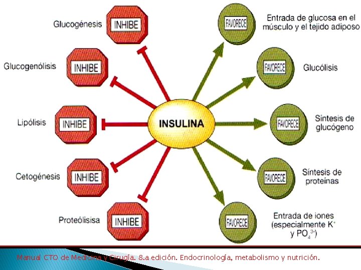 Manual CTO de Medicina y Cirugía. 8. a edición. Endocrinología, metabolismo y nutrición. 