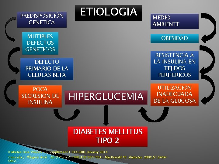 ETIOLOGIA PREDISPOSICIÓN GENETICA MUTIPLES DEFECTOS GENETICOS OBESIDAD RESISTENCIA A LA INSULINA EN TEJIDOS PERIFERICOS