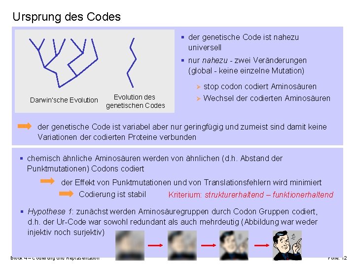 Ursprung des Codes § der genetische Code ist nahezu universell § nur nahezu -