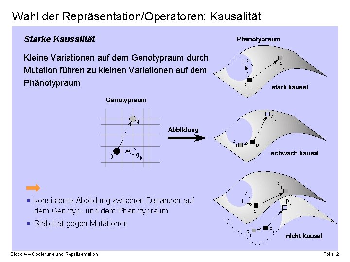 Wahl der Repräsentation/Operatoren: Kausalität Starke Kausalität Kleine Variationen auf dem Genotypraum durch Mutation führen