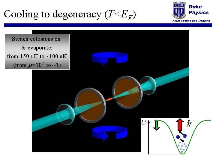 Cooling to degeneracy (T<EF) Switch collisions on & evaporate: from 150 m. K to