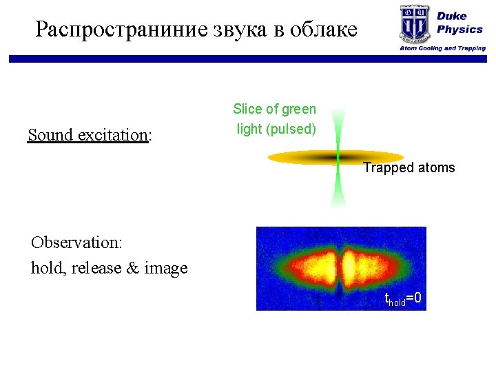 Распространиние звука в облаке Sound excitation: Slice of green light (pulsed) Trapped atoms Observation: