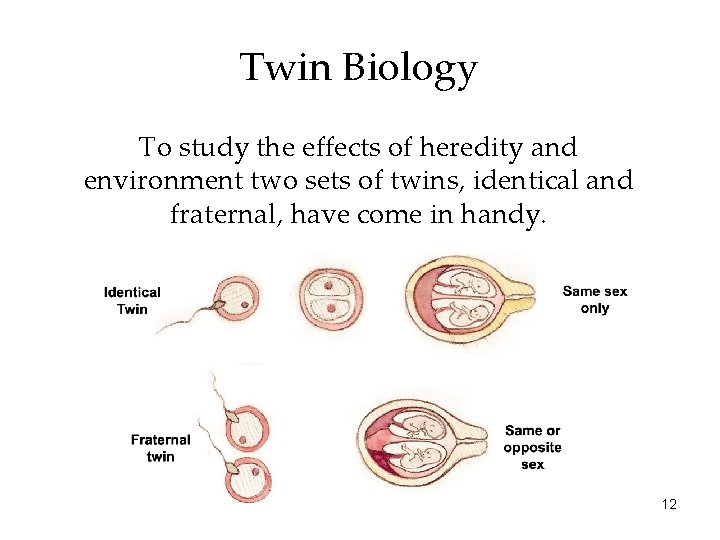 Twin Biology To study the effects of heredity and environment two sets of twins,