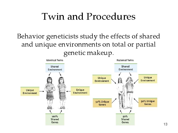 Twin and Procedures Behavior geneticists study the effects of shared and unique environments on