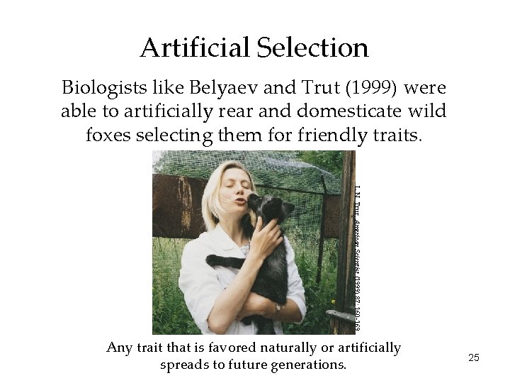 Artificial Selection Biologists like Belyaev and Trut (1999) were able to artificially rear and
