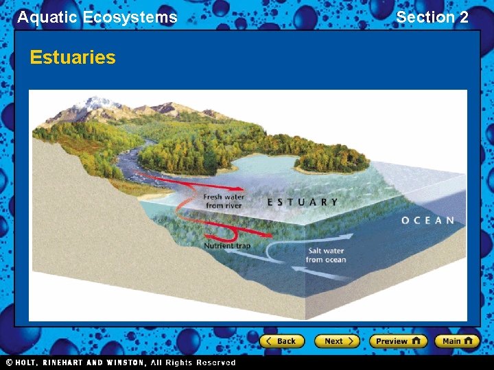 Aquatic Ecosystems Estuaries Section 2 
