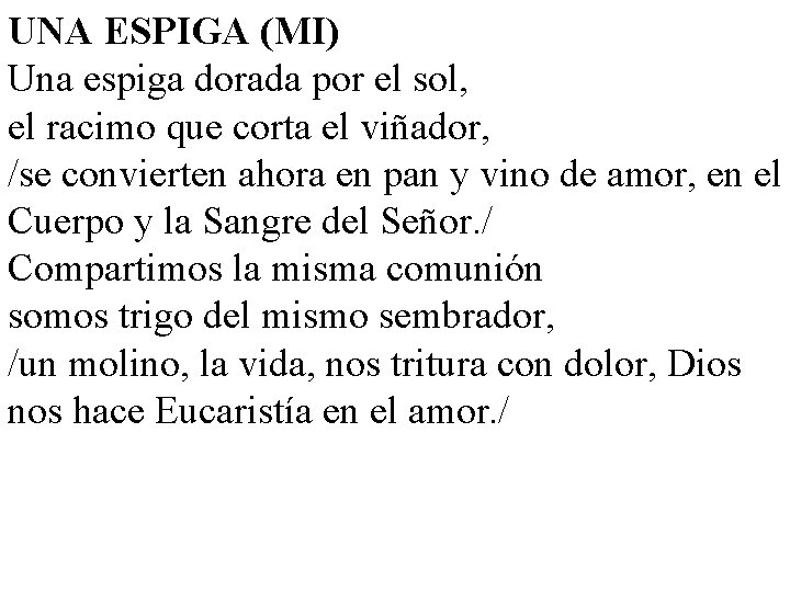 UNA ESPIGA (MI) Una espiga dorada por el sol, el racimo que corta el