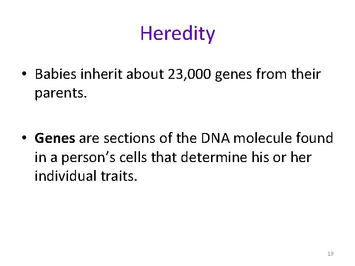 Heredity • Babies inherit about 23, 000 genes from their parents. • Genes are
