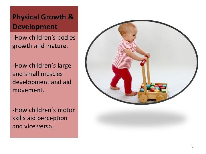 Physical Growth & Development -How children's bodies growth and mature. -How children’s large and