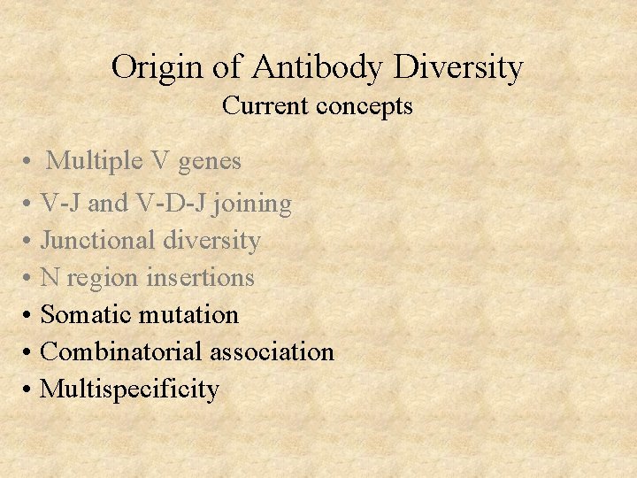 Origin of Antibody Diversity Current concepts • Multiple V genes • V-J and V-D-J