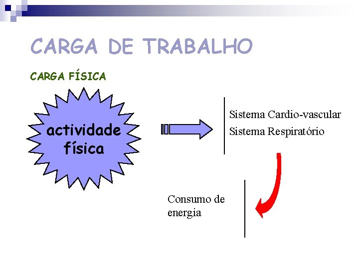 CARGA DE TRABALHO CARGA FÍSICA Sistema Cardio-vascular actividade física Sistema Respiratório Consumo de energia