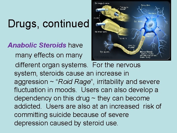 Drugs, continued Anabolic Steroids have many effects on many different organ systems. For the