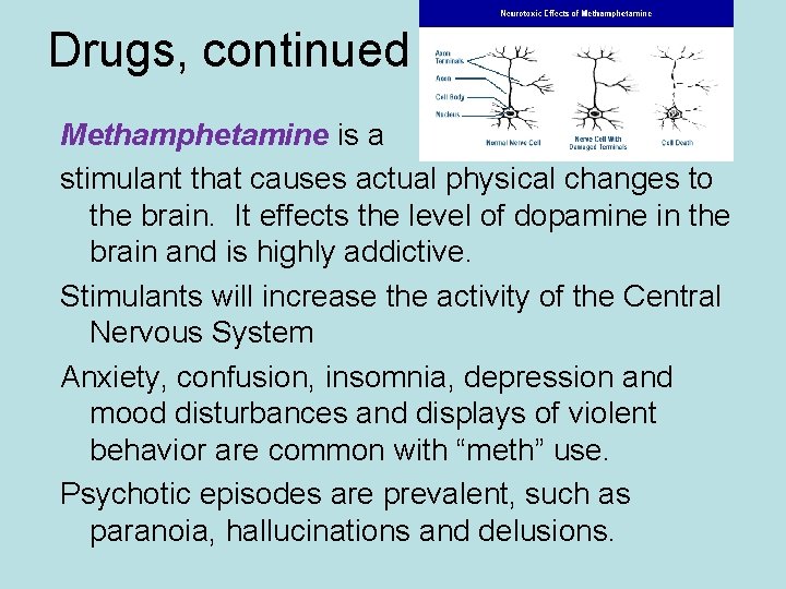 Drugs, continued Methamphetamine is a stimulant that causes actual physical changes to the brain.