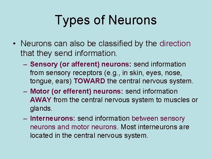 Types of Neurons • Neurons can also be classified by the direction that they