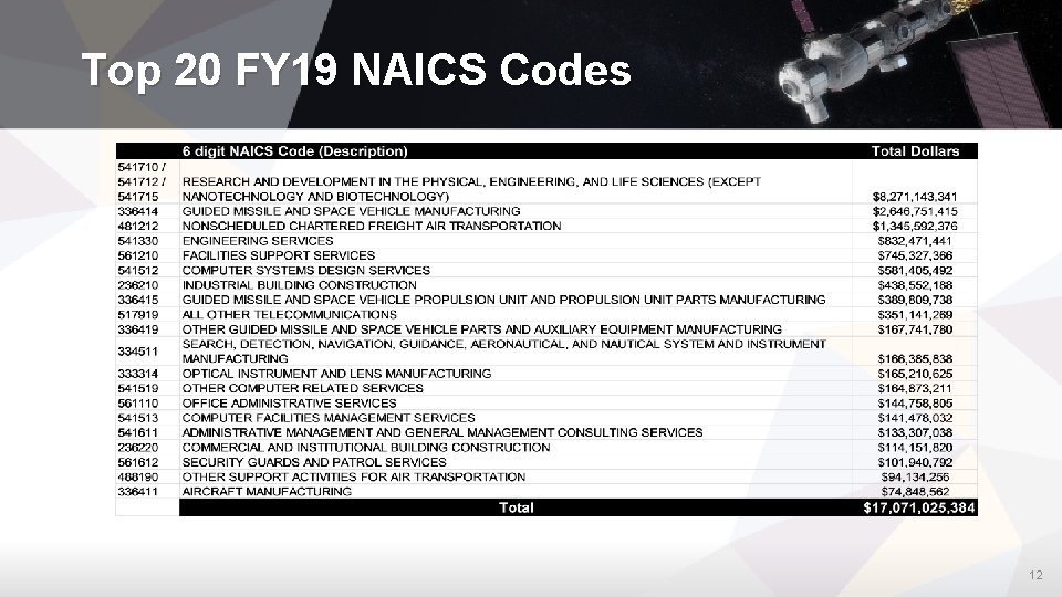 Top 20 FY 19 NAICS Codes 12 
