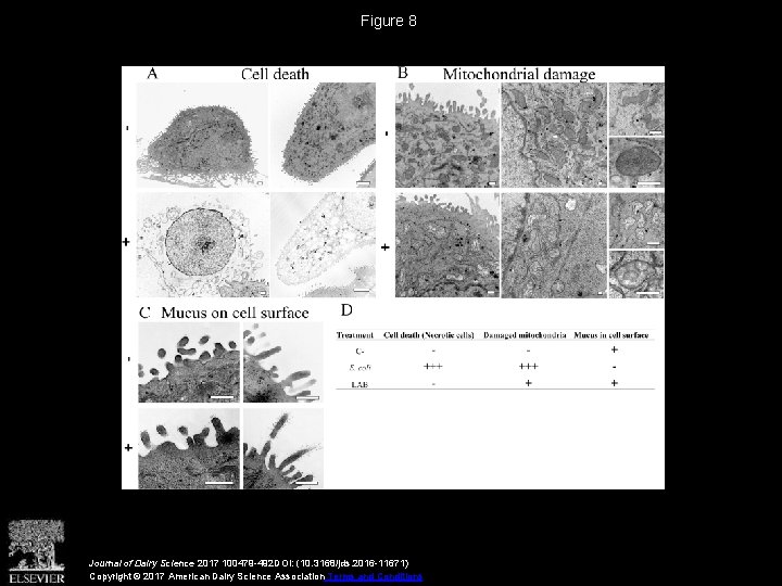 Figure 8 Journal of Dairy Science 2017 100479 -492 DOI: (10. 3168/jds. 2016 -11671)