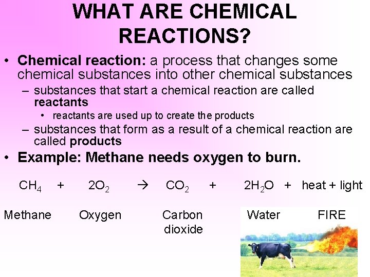 WHAT ARE CHEMICAL REACTIONS? • Chemical reaction: a process that changes some chemical substances
