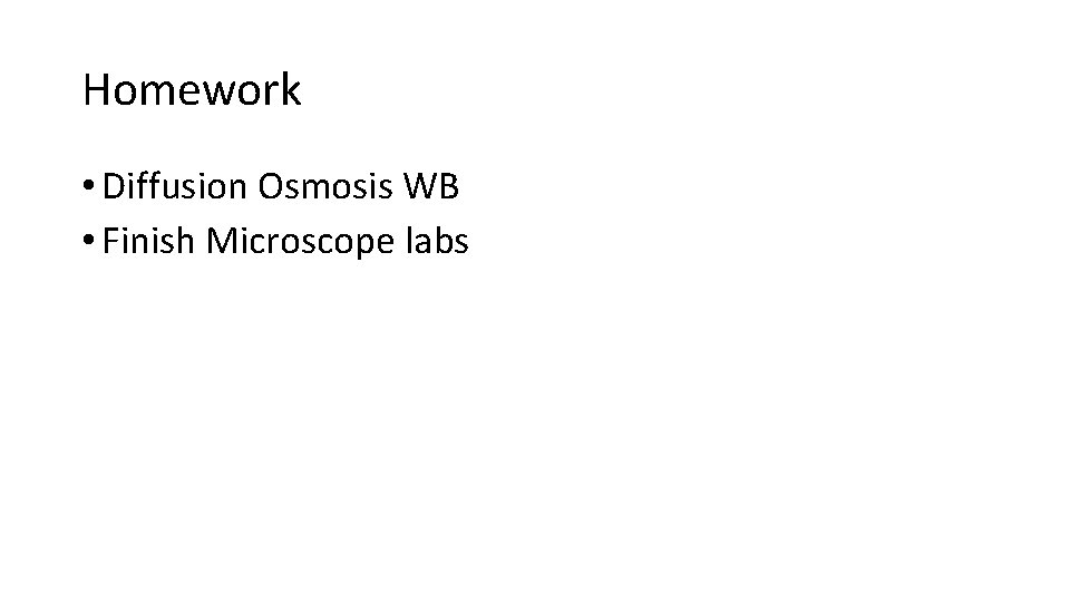 Homework • Diffusion Osmosis WB • Finish Microscope labs 