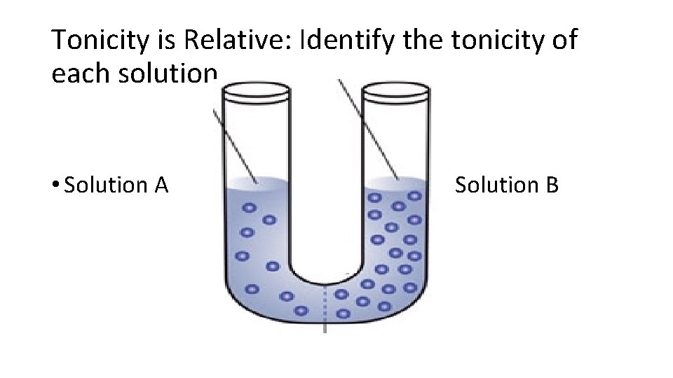 Tonicity is Relative: Identify the tonicity of each solution • Solution A Solution B