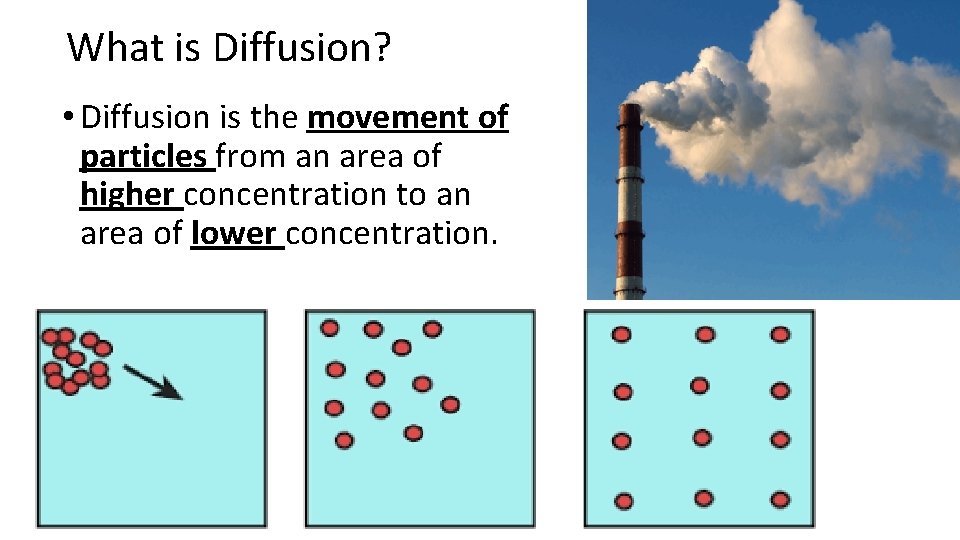 What is Diffusion? • Diffusion is the movement of particles from an area of