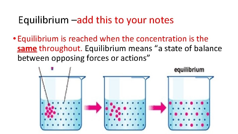 Equilibrium –add this to your notes • Equilibrium is reached when the concentration is