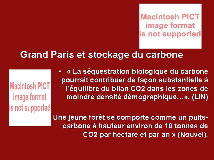 Grand Paris et stockage du carbone • « La séquestration biologique du carbone pourrait