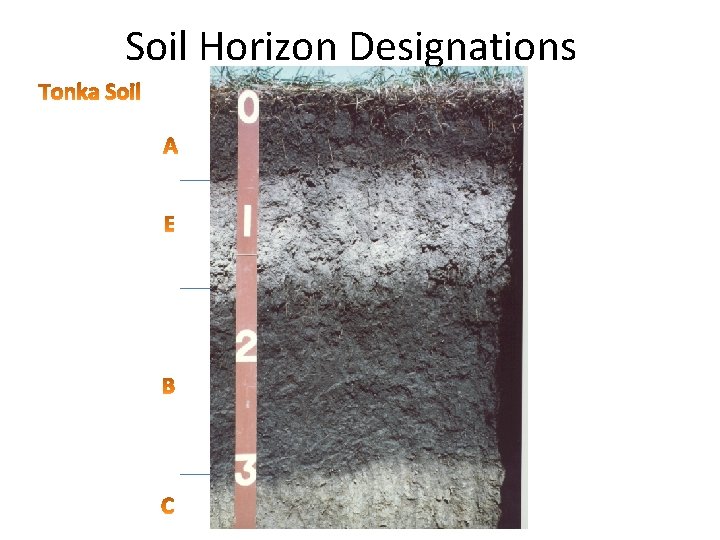 Soil Horizon Designations 