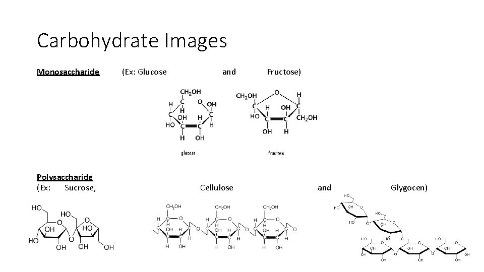Carbohydrate Images Monosaccharide Polysaccharide (Ex: Sucrose, (Ex: Glucose and Cellulose Fructose) and Glygocen) Carbohydrate Images Monosaccharide Polysaccharide (Ex: Sucrose, (Ex: Glucose and Cellulose Fructose) and Glygocen)