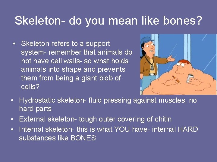 Skeleton- do you mean like bones? • Skeleton refers to a support system- remember