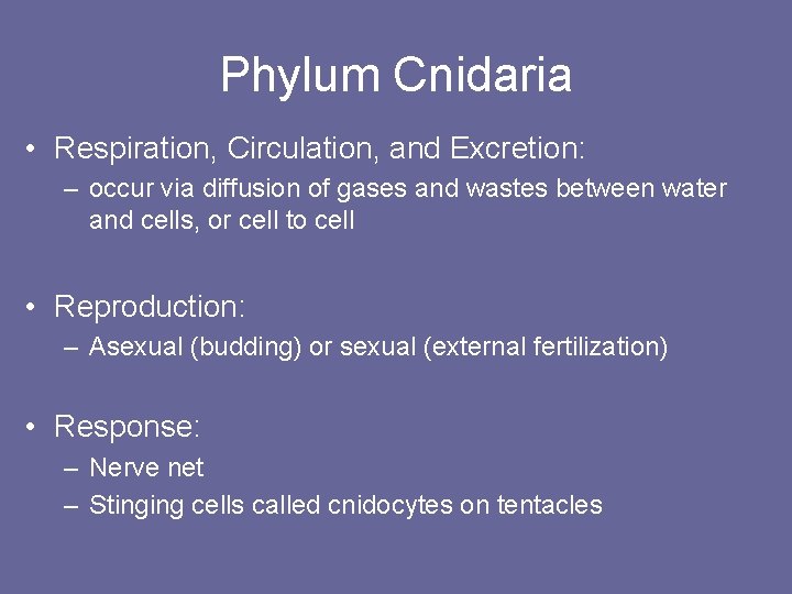 Phylum Cnidaria • Respiration, Circulation, and Excretion: – occur via diffusion of gases and