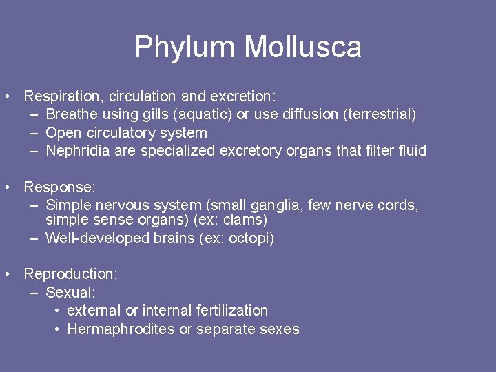 Phylum Mollusca • Respiration, circulation and excretion: – Breathe using gills (aquatic) or use