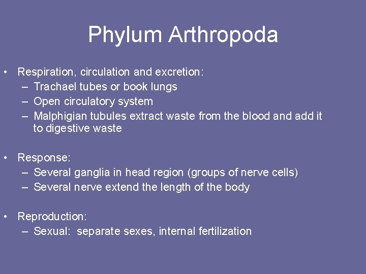 Phylum Arthropoda • Respiration, circulation and excretion: – Trachael tubes or book lungs –