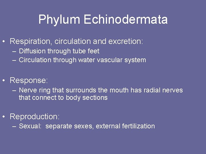 Phylum Echinodermata • Respiration, circulation and excretion: – Diffusion through tube feet – Circulation