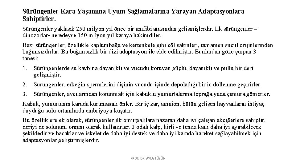 Sürüngenler Kara Yaşamına Uyum Sağlamalarına Yarayan Adaptasyonlara Sahiptirler. Sürüngenler yaklaşık 250 milyon yıl önce