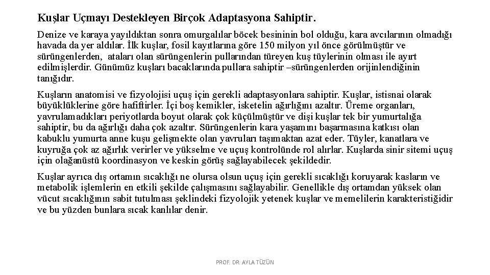 Kuşlar Uçmayı Destekleyen Birçok Adaptasyona Sahiptir. Denize ve karaya yayıldıktan sonra omurgalılar böcek besininin