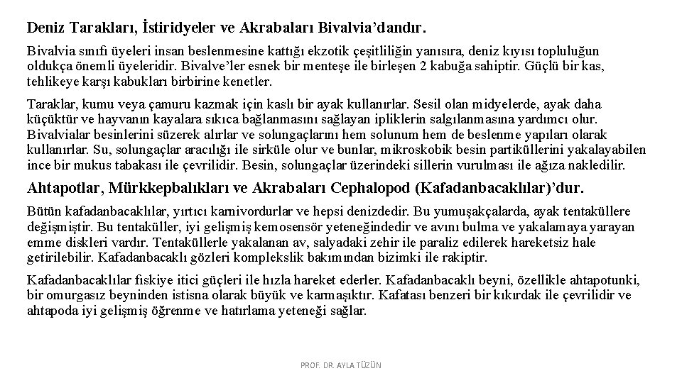 Deniz Tarakları, İstiridyeler ve Akrabaları Bivalvia’dandır. Bivalvia sınıfı üyeleri insan beslenmesine kattığı ekzotik çeşitliliğin