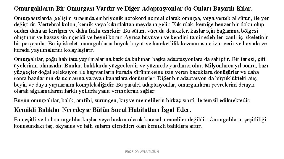 Omurgalıların Bir Omurgası Vardır ve Diğer Adaptasyonlar da Onları Başarılı Kılar. Omurgasızlarda, gelişim sırasında