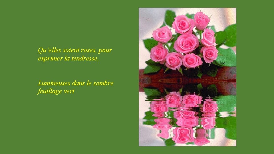 Qu’elles soient roses, pour exprimer la tendresse, Lumineuses dans le sombre feuillage vert 