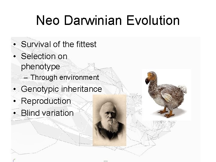 Neo Darwinian Evolution • Survival of the fittest • Selection on phenotype – Through
