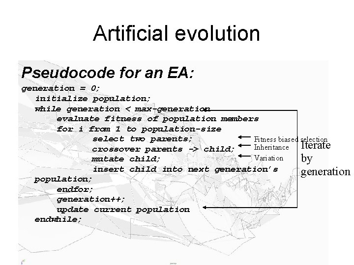 Artificial evolution Pseudocode for an EA: generation = 0; initialize population; while generation <