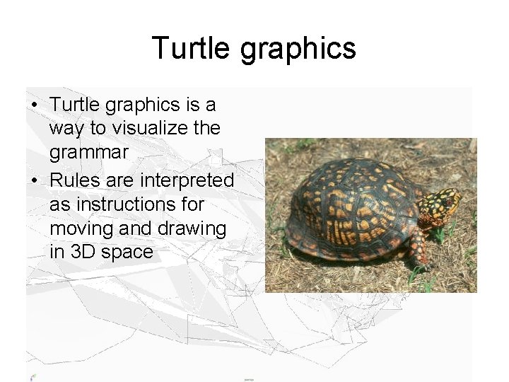 Turtle graphics • Turtle graphics is a way to visualize the grammar • Rules