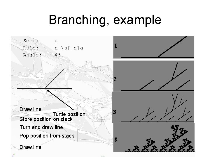 Branching, example Seed: Rule: Angle: a a->a[+a]a 45 Draw line Turtle position Store position