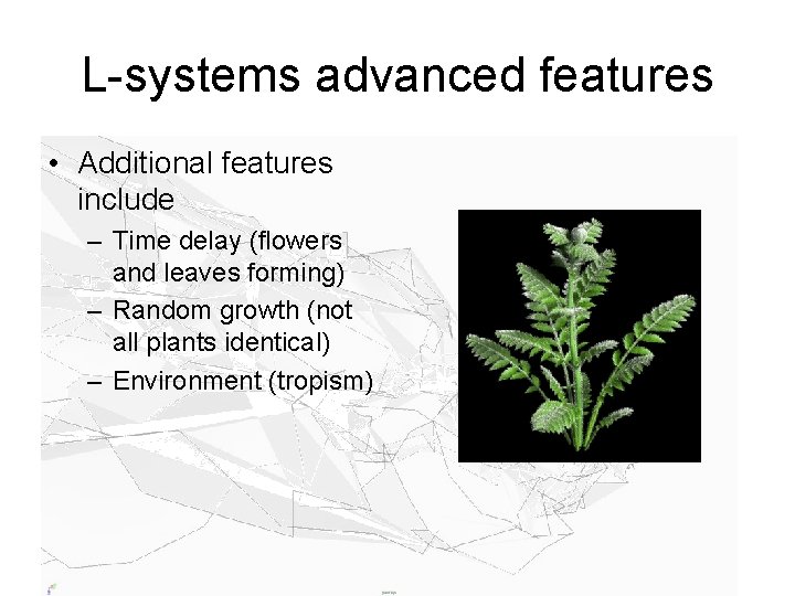 L-systems advanced features • Additional features include – Time delay (flowers and leaves forming)