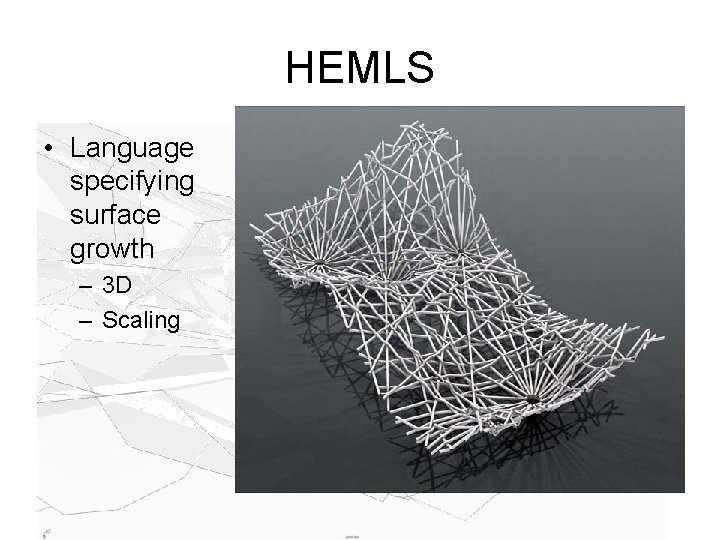 HEMLS • Language specifying surface growth – 3 D – Scaling 