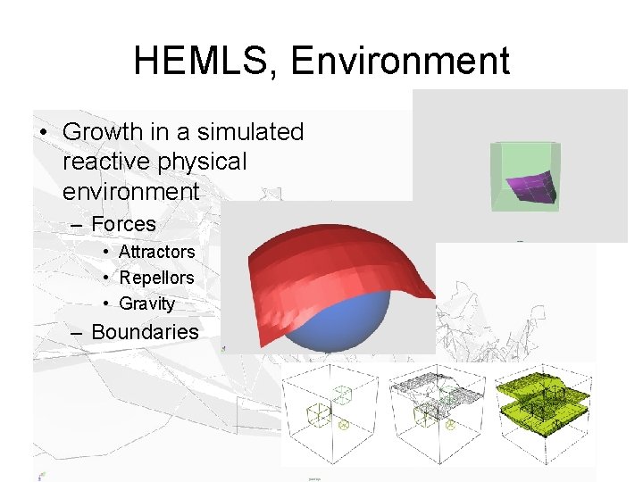 HEMLS, Environment • Growth in a simulated reactive physical environment – Forces • Attractors