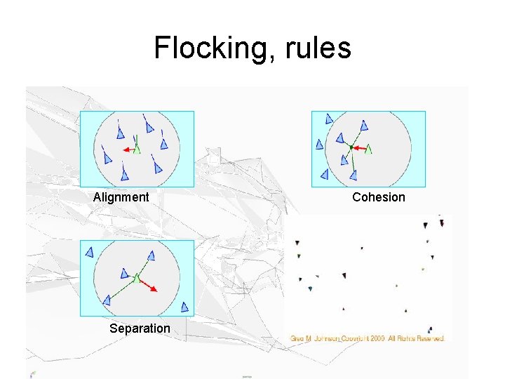 Flocking, rules Alignment Separation Cohesion 