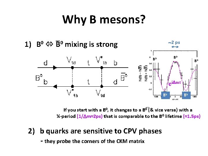 Why B mesons? _ 1) B 0 mixing is strong 2 ps B 0