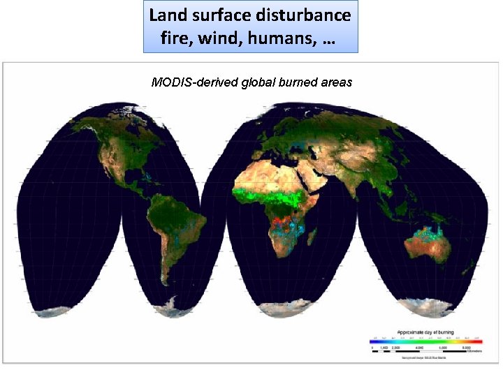 Land surface disturbance fire, wind, humans, … MODIS-derived global burned areas 